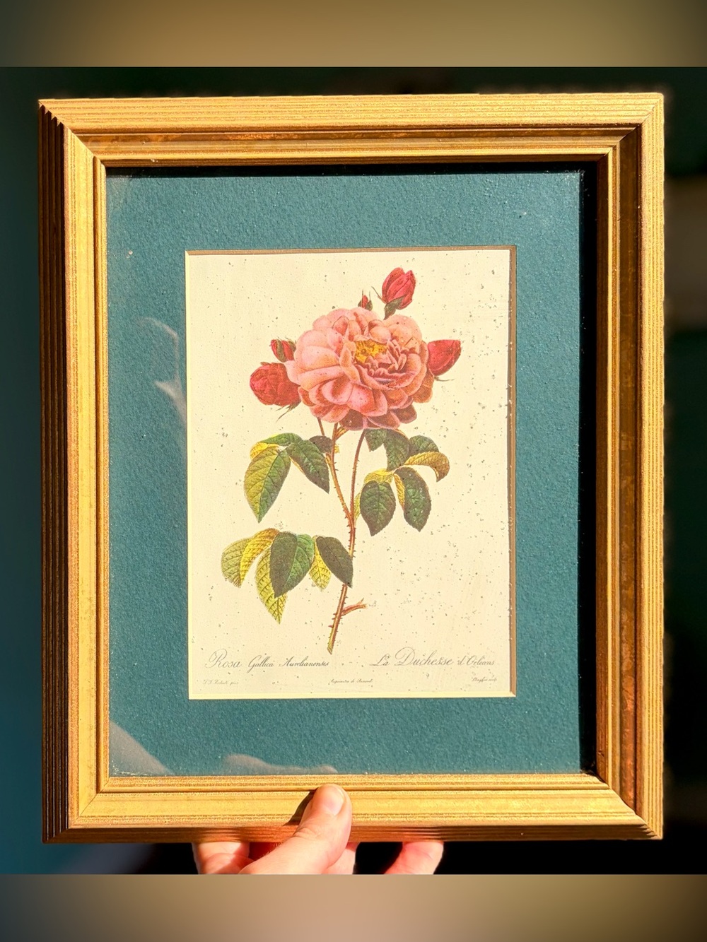 Metal Framed Pink Rose with Green Leaves Elegant Wall Decor Accent